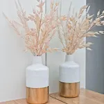 Apartment Anachi *
