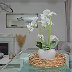 Anachi Apartment *
