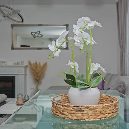 Anachi Apartment *